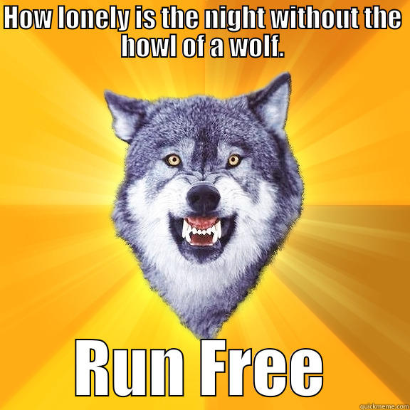 HOW LONELY IS THE NIGHT WITHOUT THE HOWL OF A WOLF. RUN FREE Courage Wolf