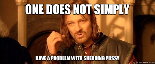 One does not simply Have a problem with shedding pussy  One Does Not Simply