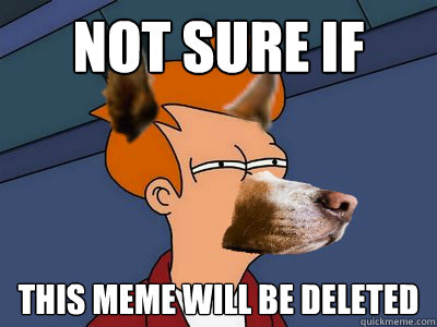 Not sure if  this meme will be deleted - Not sure if  this meme will be deleted  Dog Futurama Fry
