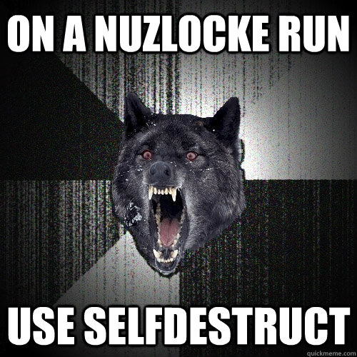 on a nuzlocke run use selfdestruct - on a nuzlocke run use selfdestruct  Insanity Wolf