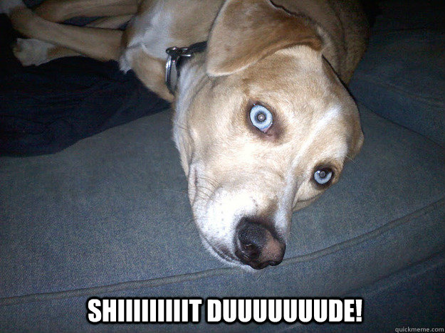 SHIIIIIIIIIT DUUUUUUUDE! - SHIIIIIIIIIT DUUUUUUUDE!  WOAH DOG