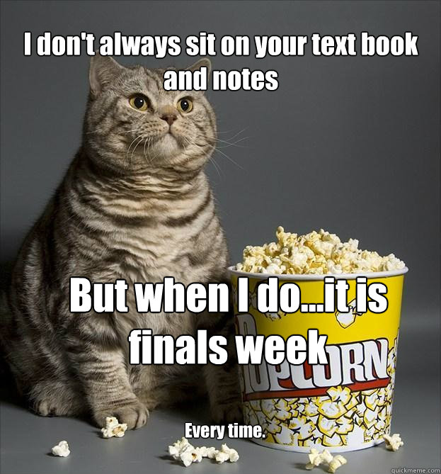 I don't always sit on your text book and notes But when I do...it is finals week Every time.   Critic Cat