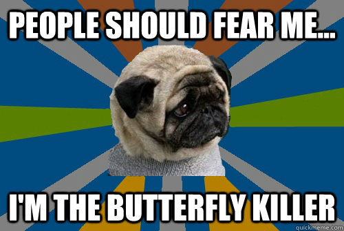 People should fear me... I'm the butterfly killer  Clinically Depressed Pug