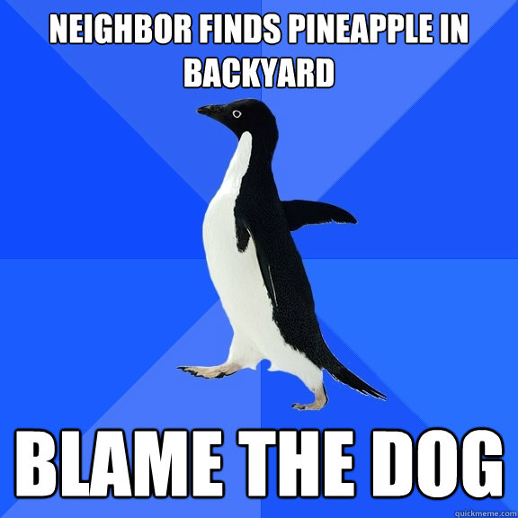 Neighbor finds pineapple in backyard Blame the dog  Socially Awkward Penguin