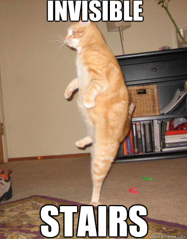 invisible stairs - invisible stairs  Stairs Cat