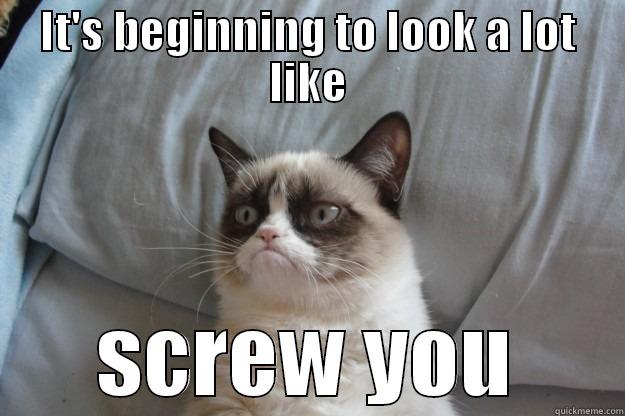 IT'S BEGINNING TO LOOK A LOT LIKE SCREW YOU Grumpy Cat