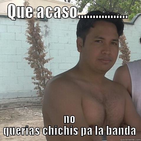 QUE ACASO.................  NO QUERIAS CHICHIS PA LA BANDA Misc