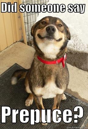 DID SOMEONE SAY   PREPUCE? Good Dog Greg