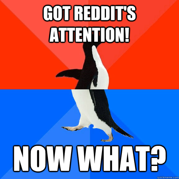 Got reddit's attention! now what?  Socially Awesome Awkward Penguin