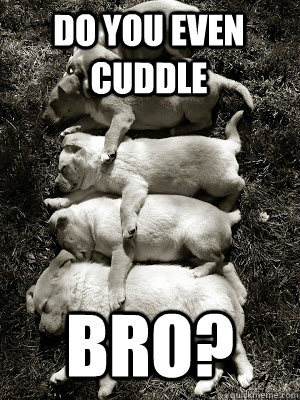 Do you even cuddle bro? - Do you even cuddle bro?  cuddle so hard