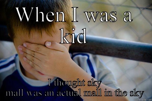 WHEN I WAS A KID I THOUGHT SKY MALL WAS AN ACTUAL MALL IN THE SKY Confession kid