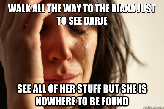 Walk all the way to the diana just to see darje see all of her stuff but she is nowhere to be found  First World Problems