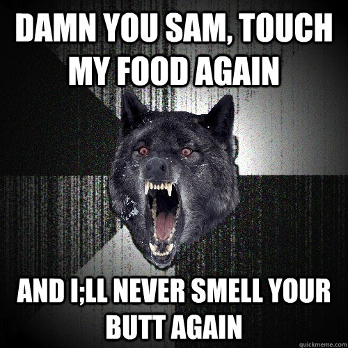 Damn you Sam, touch my food again And I;ll never smell your butt again  Insanity Wolf