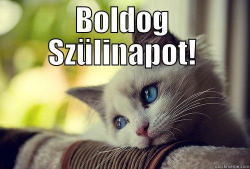 Szia Brigi - BOLDOG SZÜLINAPOT!  First World Problems Cat