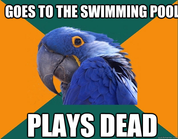 goes to the swimming pool  Plays Dead  Paranoid Parrot