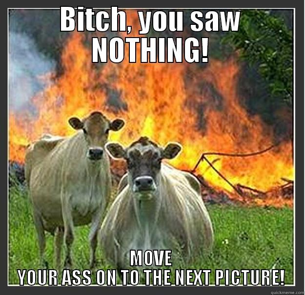 BITCH, YOU SAW NOTHING! MOVE YOUR ASS ON TO THE NEXT PICTURE! Evil cows
