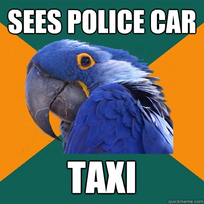 Sees police car Taxi  Paranoid Parrot