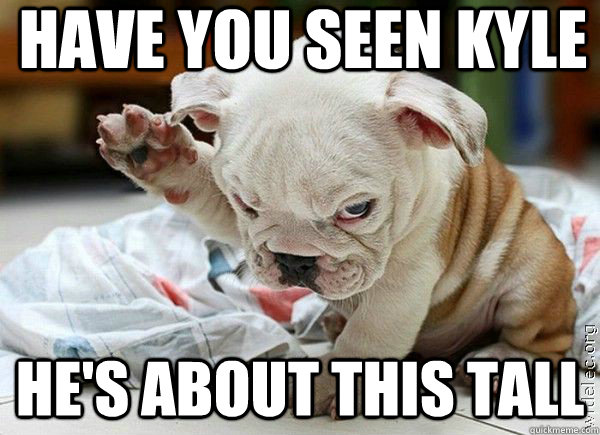 Have you seen kyle he's about this tall - Have you seen kyle he's about this tall  Subtle Nazi Puppy