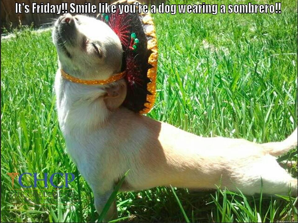 Dog Sombrero - IT'S FRIDAY!! SMILE LIKE YOU'RE A DOG WEARING A SOMBRERO!!  Misc