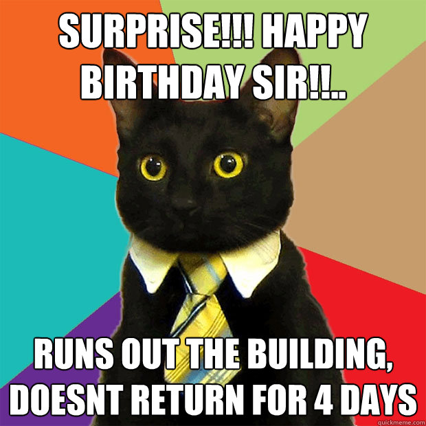Surprise!!! Happy birthday sir!!.. Runs out the building, doesnt return for 4 days  Business Cat