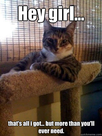 Hey girl... that's all i got... but more than you'll ever need.  The Most Interesting Cat in the World