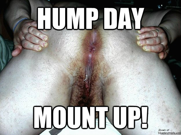 hump day mount up!  