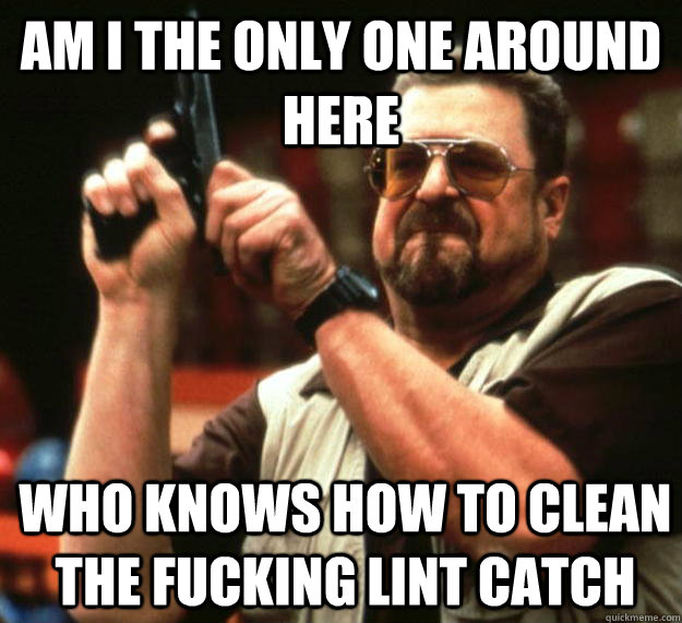 am I the only one around here who knows how to clean the fucking lint catch   Angry Walter