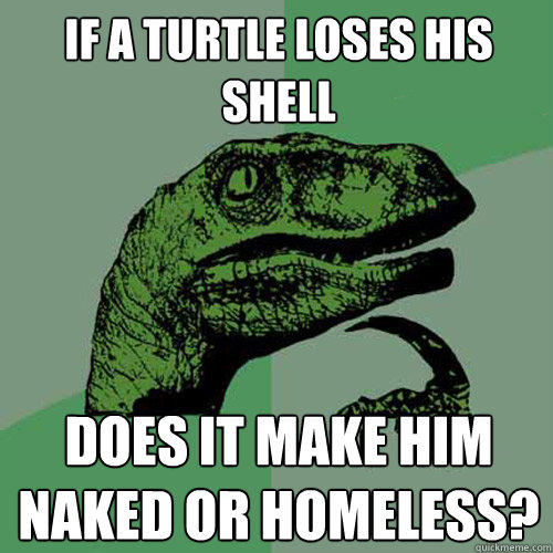 If a turtle loses his shell Does it make him naked or homeless?  Philosoraptor