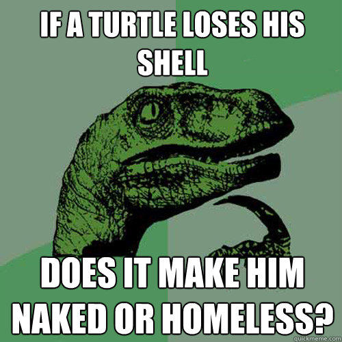If a turtle loses his shell Does it make him naked or homeless?  