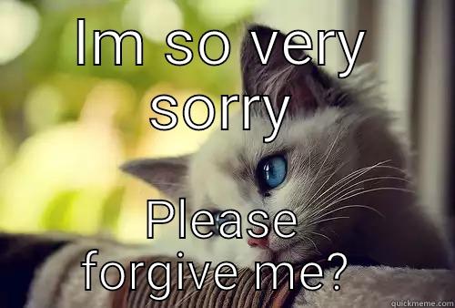Sorry kitty - IM SO VERY SORRY PLEASE FORGIVE ME?  First World Problems Cat