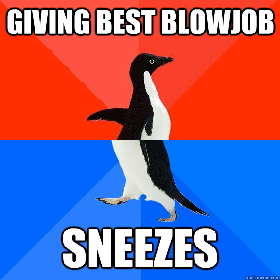 Giving best blowjob sneezes   Socially Awesome Awkward Penguin