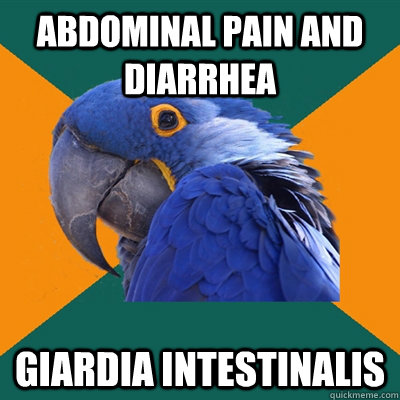 Abdominal Pain and diarrhea Giardia Intestinalis  Paranoid Parrot