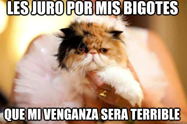 LES JURO POR MIS BIGOTES QUE MI VENGANZA SERA TERRIBLE  VENGANZA