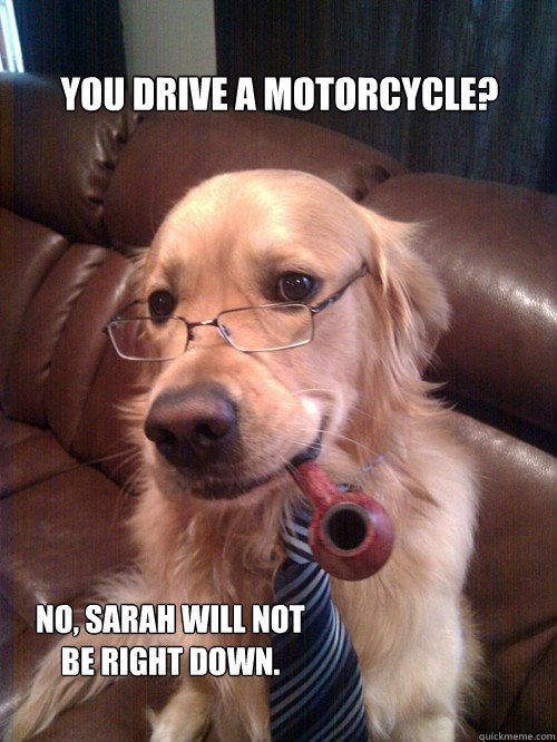 You drive a motorcycle?  No, sarah will not be right down.  
