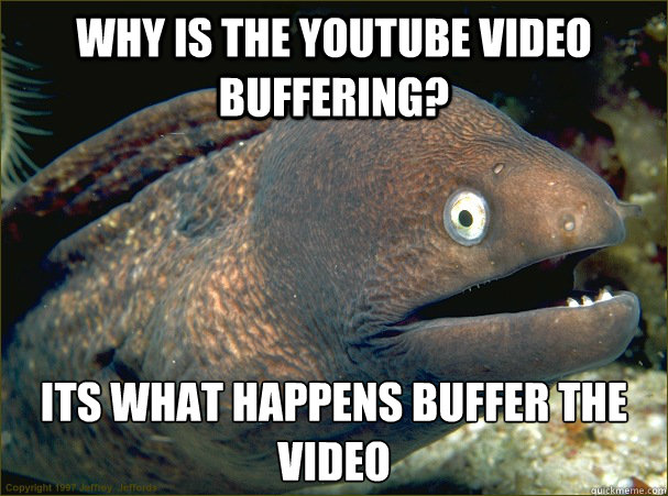 why is the youtube video buffering? its what happens buffer the video  Bad Joke Eel