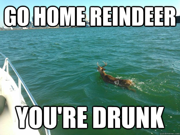 go home reindeer You're drunk - go home reindeer You're drunk  Misc