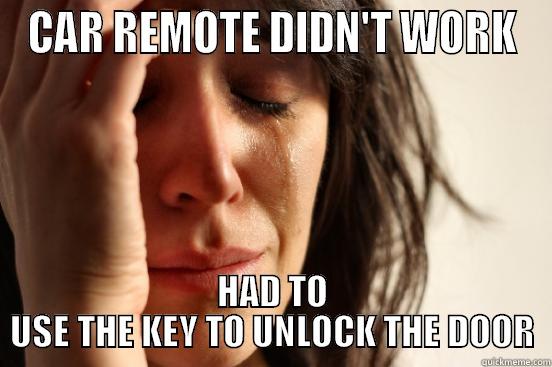 CAR REMOTE DIDN'T WORK HAD TO USE THE KEY TO UNLOCK THE DOOR First World Problems