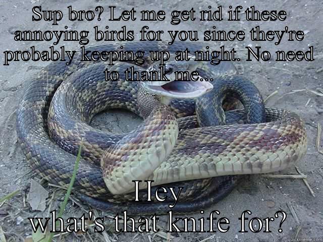 SUP BRO? LET ME GET RID IF THESE ANNOYING BIRDS FOR YOU SINCE THEY'RE PROBABLY KEEPING UP AT NIGHT. NO NEED TO THANK ME... HEY WHAT'S THAT KNIFE FOR? Misc