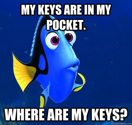 My keys are in my pocket. Where are my keys?  