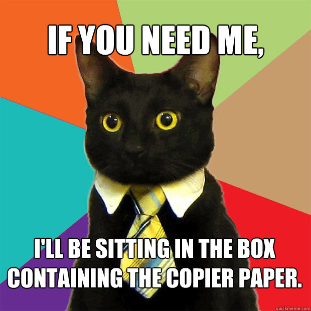 If you need me, I'll be sitting in the box containing the copier paper.  Business Cat