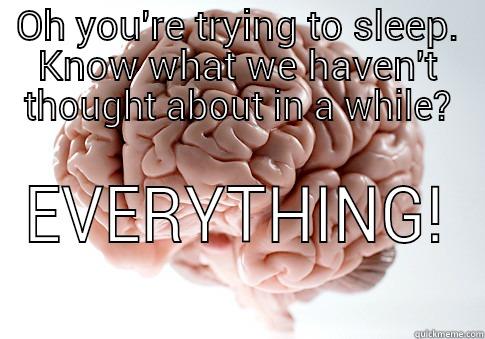 OH YOU'RE TRYING TO SLEEP. KNOW WHAT WE HAVEN'T THOUGHT ABOUT IN A WHILE? EVERYTHING! Scumbag Brain