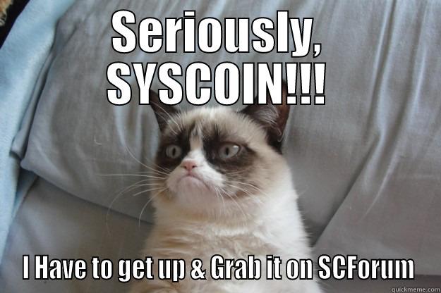 SERIOUSLY, SYSCOIN!!! I HAVE TO GET UP & GRAB IT ON SCFORUM Grumpy Cat