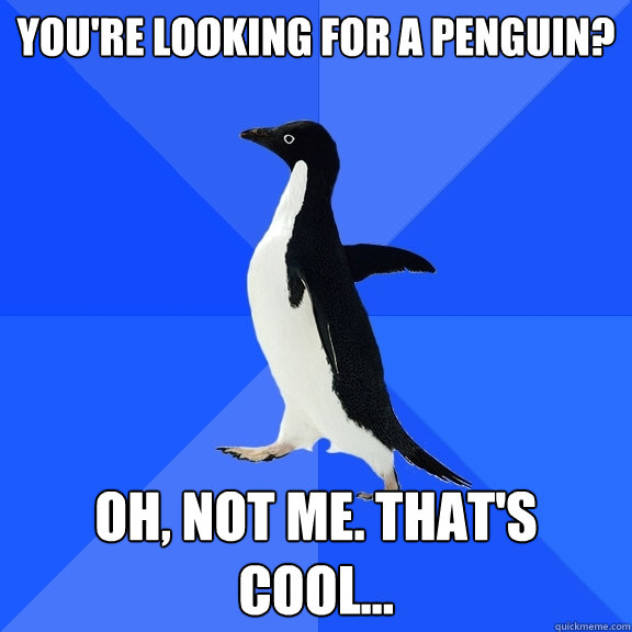 You're looking for a penguin? Oh, not me. That's cool...  Socially Awkward Penguin