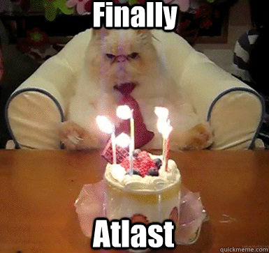 Finally Atlast - Finally Atlast  Cake Day Cat