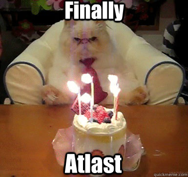 Finally Atlast  Cake Day Cat