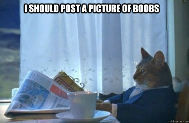 I should Post a picture of boobs  Sophisticated Cat