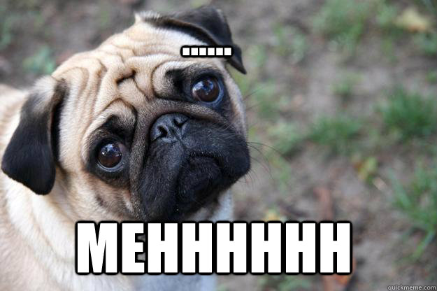 ...... mehhhhhh  First World Dog problems