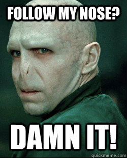 Follow my nose? Damn it!  Voldemort sez go study