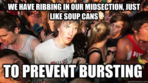 WE HAVE RIBBING IN OUR MIDSECTION, JUST LIKE SOUP CANS TO PREVENT BURSTING  Sudden Clarity Clarence