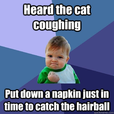 Heard the cat coughing Put down a napkin just in time to catch the hairball - Heard the cat coughing Put down a napkin just in time to catch the hairball  Success Kid